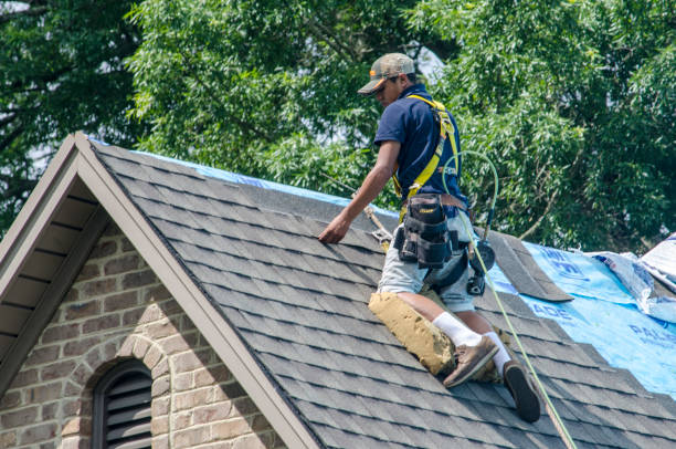 Best Roof Gutter Cleaning  in Coal Grove, OH